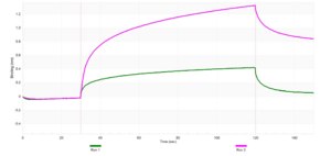 Anti-SYT1 Antibody, clone 1F11 ZooMAb® Rabbit Monoclonal recombinant, expressed in HEK 293 cells