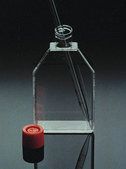Corning® cell culture flasks surface area 25 cm2, canted neck, cap (vented)