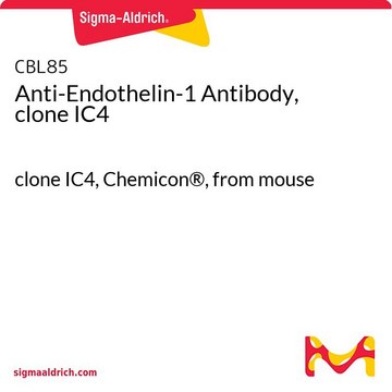 Anti-Endothelin-1 Antibody, clone IC4 clone IC4, Chemicon&#174;, from mouse