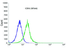 Anti-CD31 antibody, Rabbit monoclonal recombinant, expressed in proprietary host, clone SP164, affinity isolated antibody