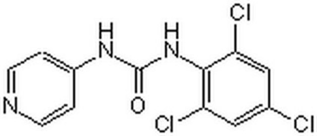 Rho Kinase Inhibitor II - CAS 97627-27-5 - Calbiochem The Rho Kinase Inhibitor II, also referenced under CAS 97627-27-5, controls the biological activity of Rho Kinase. This small molecule/inhibitor is primarily used for Phosphorylation &amp; Dephosphorylation applications.