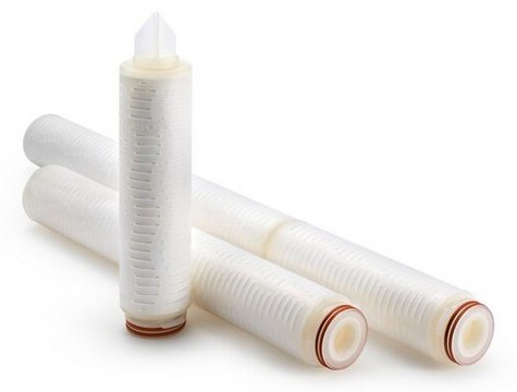 Durapore® 0.22 µm, Cartridge pore size 0.22 μm, cartridge nominal length 30 in. (75 cm), Code 5 (2-222; O-rings and spear)
