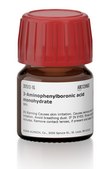 3-Aminophenylboronic acid monohydrate 98%