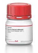 Bovine Serum Albumin heat shock fraction, pH 7, ≥98%