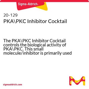 PKA\PKC Inhibitor Cocktail The PKA\PKC Inhibitor Cocktail controls the biological activity of PKA\PKC. This small molecule/inhibitor is primarily used for Biochemicals applications.