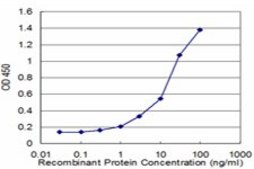 Monoclonal Anti-HIF1A, (C-terminal) antibody produced in mouse clone 1D4, purified immunoglobulin, buffered aqueous solution