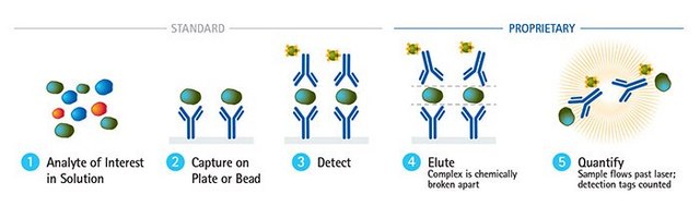 SMC&#174; Human VEGF-A High Sensitivity Immunoassay Kit