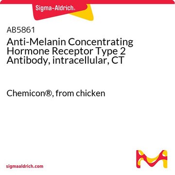 Anti-Melanin Concentrating Hormone Receptor Type 2 Antibody, intracellular, CT Chemicon&#174;, from chicken
