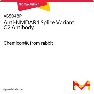 Anti-NMDAR1 Splice Variant C2 Antibody Chemicon&#174;, from rabbit