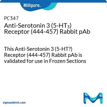 Anti-Serotonin 3 (5-HT₃) Receptor (444-457) Rabbit pAb This Anti-Serotonin 3 (5-HT?) Receptor (444-457) Rabbit pAb is validated for use in Frozen Sections