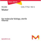 Water Molecular Biology, sterile filtered