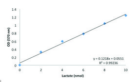 Lactate Assay Kit sufficient for 100 colorimetric&nbsp;or&nbsp;fluorometric&nbsp;tests
