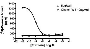 ChemiScreen 膜製剤 組換えヒト α1B アドレナリン作動性 受容体 Human alpha1B GPCR membrane preparation for Radioligand binding Assays &amp; GTPγS binding.