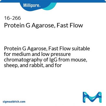 Proteína G-agarosa, flujo rápido Protein G Agarose, Fast Flow suitable for medium and low pressure chromatography of IgG from mouse, sheep, and rabbit, and for immunoprecipitations.