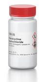 Tetracycline hydrochloride powder, BioReagent, suitable for cell culture