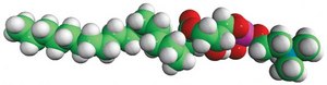 19:0 Lyso PC Avanti Research™ - A Croda Brand 855776P, powder