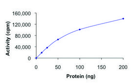 HPK1, active, GST tagged human PRECISIO®, recombinant, expressed in baculovirus infected Sf9 cells, ≥70% (SDS-PAGE), buffered aqueous glycerol solution