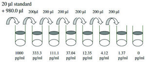 Human Eotaxin-2 / CCL24 ELISA Kit for serum, plasma, cell culture supernatant and urine