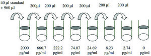 Mouse IL-12 P40/70 ELISA Kit for serum, plasma and cell culture supernatant