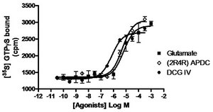 ChemiSCREEN Membrane Preparation Recombinant Human mGLU2 Metabotropic Glutamate Receptor Human mGlu2 GPCR membrane preparation for Radioligand binding Assays &amp; GTPγS binding.