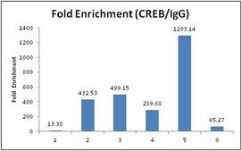PureEpi Chromatin Preparation and Optimization Kit The PureEpi Chromatin Preparation &amp; Optimization kit provides a complete set of reagents allowing the preparation of multiple chromatin samples from starting materials such as cultured cells or tissues.