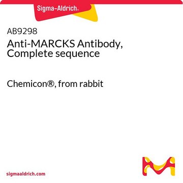 Anti-MARCKS Antibody, Complete sequence Chemicon&#174;, from rabbit