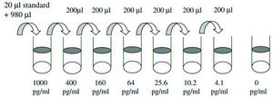 Mouse MIP-3 β / CCL19 ELISA Kit for serum, plasma and cell culture supernatant