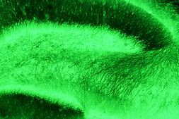 Monoclonal Anti-MAP2 antibody produced in mouse ascites fluid, clone HM-2