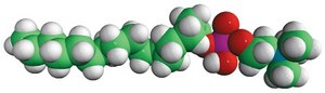 MAPCHO™-16 n-hexadecylphosphocholine, powder