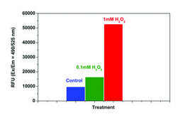 Fluorometric Intracellular Ros Kit sufficient for 200 fluorometric&nbsp;tests (green)