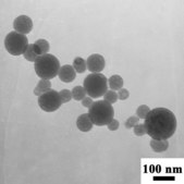 Hydroxyapatite nanopowder, <200 nm particle size (BET), contains 5 wt. % silica as dopant, synthetic