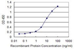 Monoclonal Anti-SGCG, (C-terminal) antibody produced in mouse clone 3C5, purified immunoglobulin, buffered aqueous solution