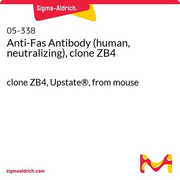 Anticuerpo anti-Fas (humano, neutralizante), clon ZB4 clone ZB4, Upstate&#174;, from mouse