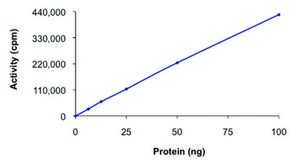 PRKX, active, GST tagged human PRECISIO® Kinase, recombinant, expressed in baculovirus infected Sf9 cells, ≥70% (SDS-PAGE), buffered aqueous glycerol solution