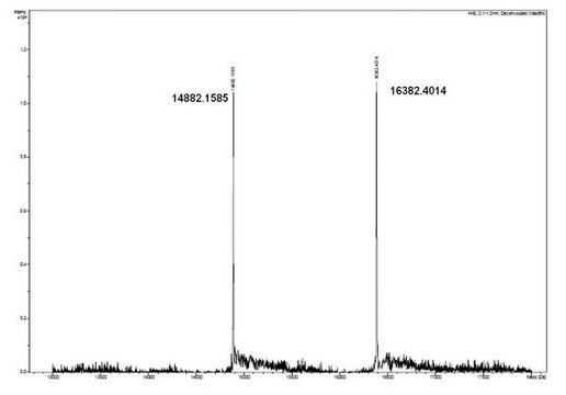 Human recombinant histone H2AX-H2B dimers Human recombinant histone H2AX-H2B dimers expressed in E Coli. as fusion proteins with either an N-terminal FLAG or 6xHis epitopes &amp; purified by Fast Protein Liquid Chromatography (FPLC).