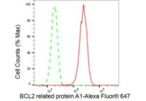 Anti BCL2 related protein A1 Antibody, clone 23GB4820, Rabbit Monoclonal clone 23GB4820, recombinant rabbit monoclonal, expressed in HEK293 cells