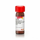 Guanosine 5′-diphospho-β-L-fucose sodium salt ≥85%