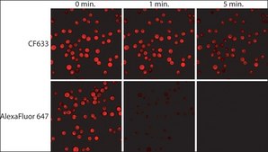 Anti-Mouse IgG (H+L), CF™ 633 antibody produced in goat ~2 mg/mL, affinity isolated antibody