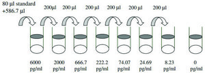 Human BMP-7 ELISA Kit for serum, plasma, cell culture supernatant and urine