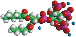 06:0 PI(3,4,5)P3 1,2-dihexanoyl-sn-glycero-3-phospho-(1′-myo-inositol-3′,4′,5′-trisphosphate) (ammonium salt), powder