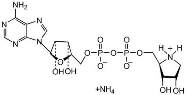 ADP-HPD, Dihydrate, Ammonium Salt ADP-HPD, Dihydrate is an amino analog of ADP-ribose that acts as a highly potent, noncompetitive, and specific inhibitor of poly(ADP-ribose) glycohydrolase (PARG; IC50 = 120 nM).
