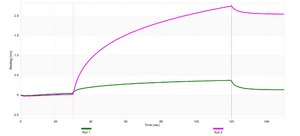 Anti-CD66b/CEACAM8 Antibody, clone 1L6 ZooMAb® Rabbit Monoclonal recombinant, expressed in HEK 293 cells