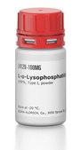L-α-Lysophosphatidylcholine from egg yolk ≥99%, Type I, powder