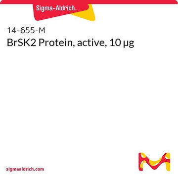 BrSK2 Protein, active, 10 µg