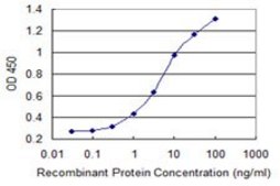 Monoclonal Anti-TAF6L antibody produced in mouse clone 1C5, purified immunoglobulin, buffered aqueous solution