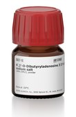 N6,2′-O-Dibutyryladenosine 3′,5′-cyclic monophosphate sodium salt ≥96% (HPLC), powder