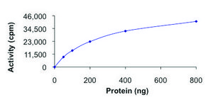 GRK3, active, GST tagged human PRECISIO®, recombinant, expressed in baculovirus infected Sf9 cells, ≥70% (SDS-PAGE), buffered aqueous glycerol solution