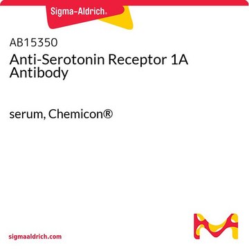 Anti-Serotonin Receptor 1A Antibody serum, Chemicon&#174;