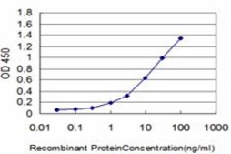 Monoclonal Anti-IRAK2 antibody produced in mouse clone 3G6, purified immunoglobulin, buffered aqueous solution