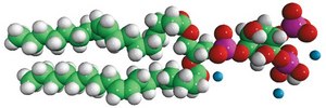 18:1 PI(3,4)P2 1,2-dioleoyl-sn-glycero-3-phospho-(1′-myo-inositol-3′,4′-bisphosphate) (ammonium salt), powder